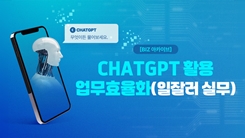 [Biz 아카이브] ChatGPT 활용 업무효율화(일잘러 실무)
